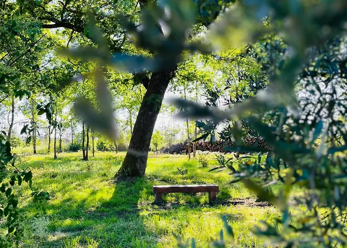 Holiday home La Casa M *