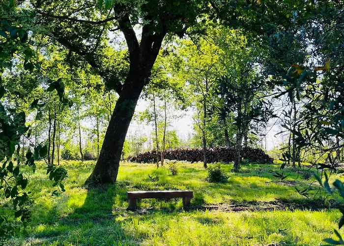 La Casa M Дом отдыха Sainte-Helene (Gironde)